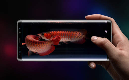 Lovely Arowana LiveWallpaper 2 تصوير الشاشة