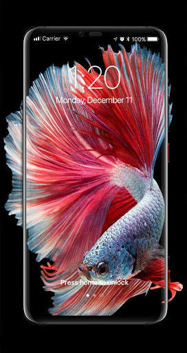 Betta Fish Live Wallpaper 2020 screenshot 3