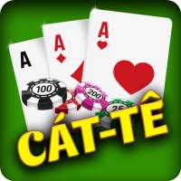Catte - Cat te