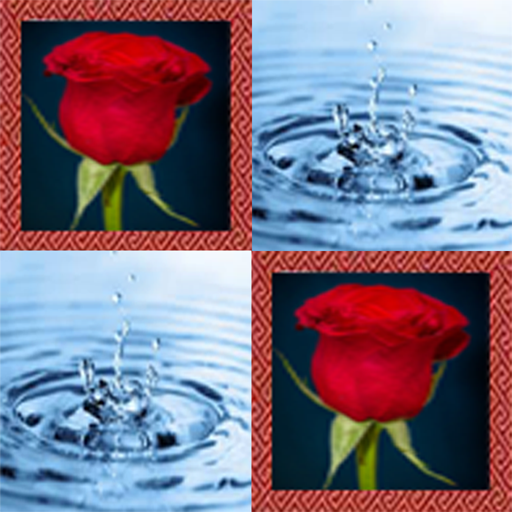 Match pair icon
