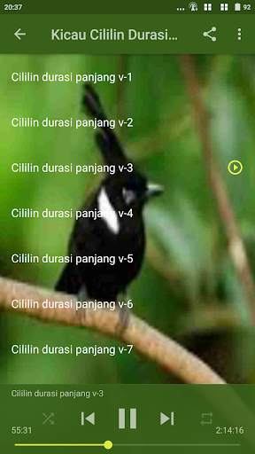 Tembakan Cililin Gacor Offline screenshot 6
