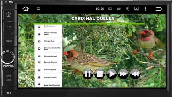 African Bird Songs screenshot 2