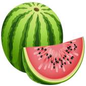 Melon VPN 1.2
