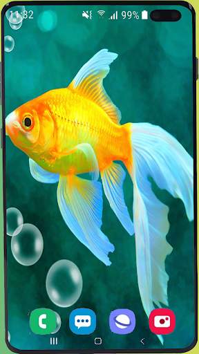 Fish Wallpaper HD screenshot 7
