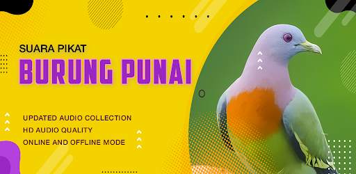 Suara Punai: Green Pigeon screenshot 2
