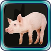Escape games zone 61 icon