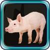 Escape games zone 61 v1.0.1