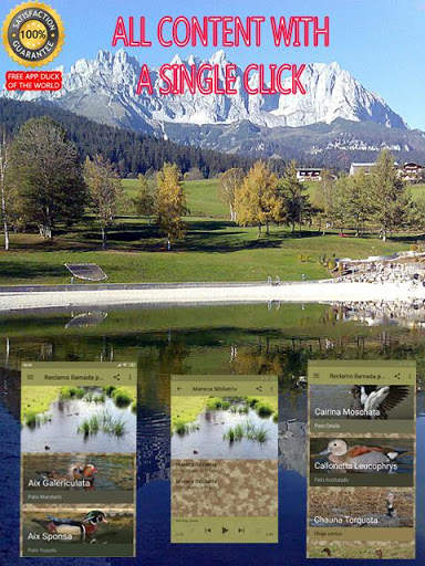 Claim called ducks: Sounds aquatic birds screenshot 3