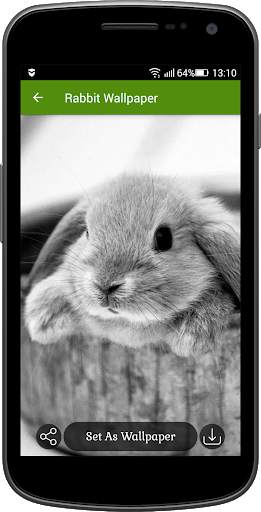 Rabbit Wallpaper screenshot 3