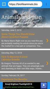 Smart browser screenshot 6