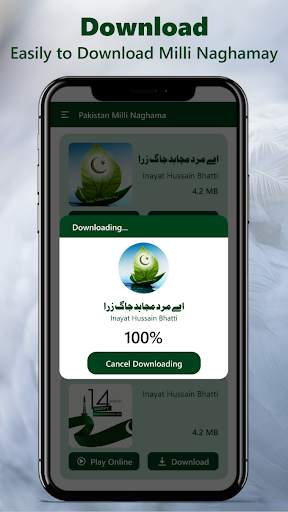Pakistani Mili Naghmay Mp3 Songs Offline screenshot 3