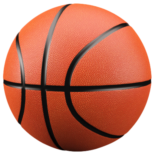 BasketBall Shooter 2018 icon
