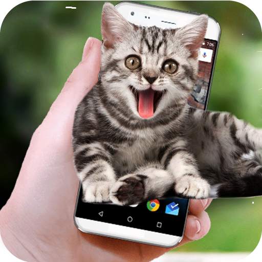 Funny Cat Walks On Screen - Cute Animation 1.3