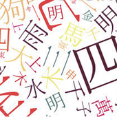 Learn Chinese icon