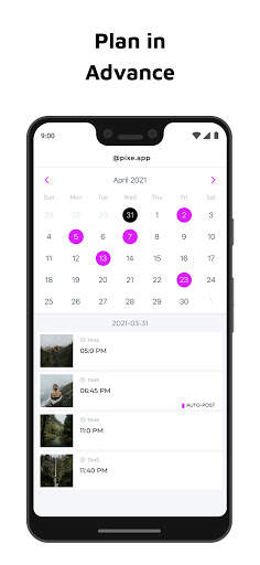 Pixe: Instagram Planner & Anal screenshot 3