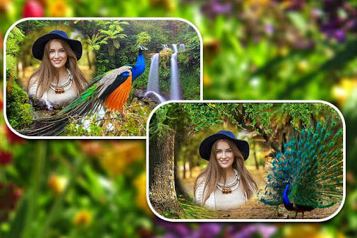 Peacock Photo Frames screenshot 6