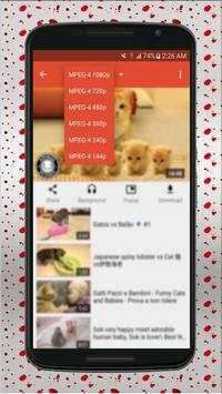 Video Player screenshot 1