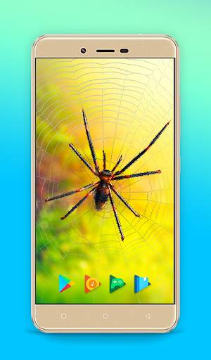 Spider Animated Keyboard   Liv स्क्रीनशॉट 4