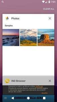 IND Browser screenshot 3