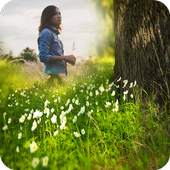 Beautiful Nature Photoframe 1.0.1