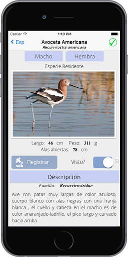 Aves de Chapala screenshot 3