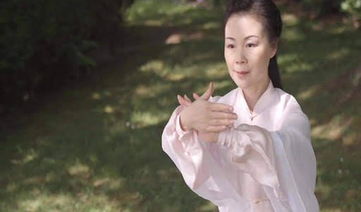 Tai Chi for Beginners - 48 Form (YMAA) screenshot 5