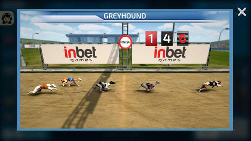 Dogs3D Races Betting screenshot 5