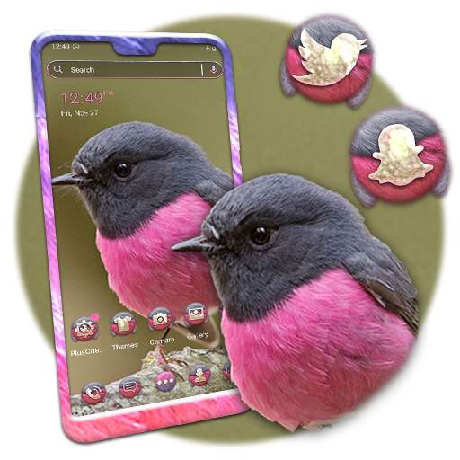 Pink Robin Launcher Theme 1.0.0