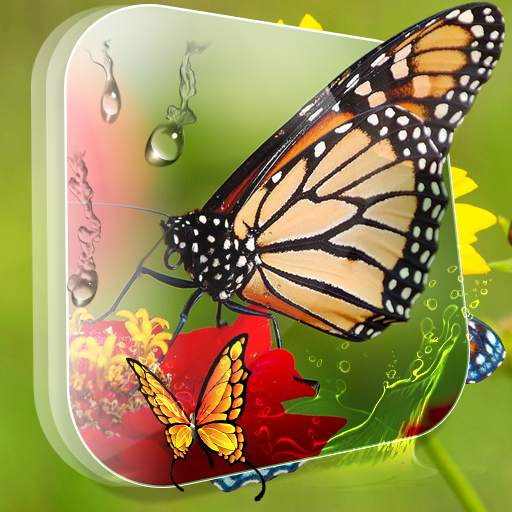 Butterflies Magic Touch 2.0