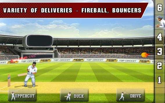 Tap Cricket 2013 screenshot 9