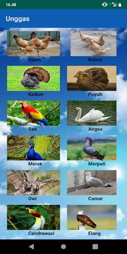 Bird Voices screenshot 1