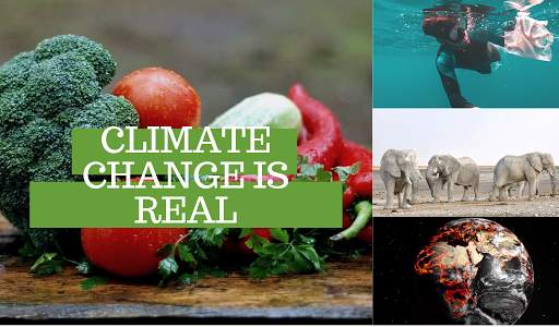 Climate change is real screenshot 2