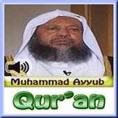 Muhammad Ayyub Quran Mp3 on 9Apps