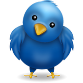 Twitty Bird icon