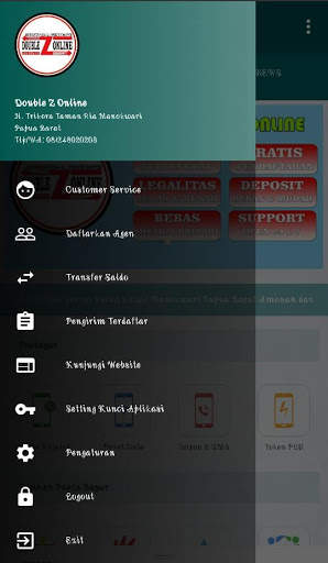 Double Z Online скриншот 6