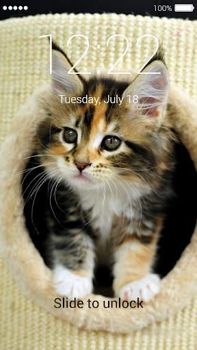 Kitten Lock Screen 5 تصوير الشاشة