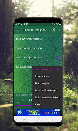 Kicau Cucak Ijo Gacor - Offline screenshot 4
