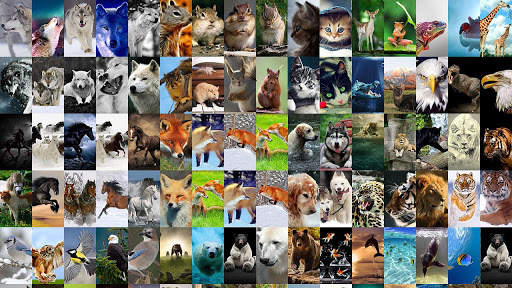 Animal Wallpaper screenshot 1