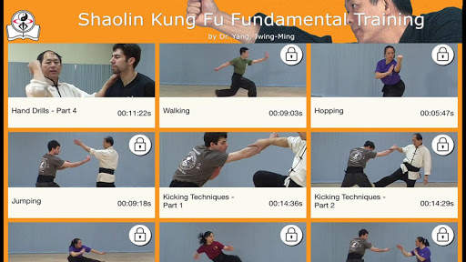 Shaolin Kung Fu screenshot 6