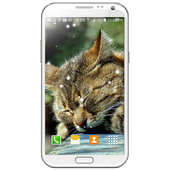 MusicPlayer Snow LiveWallpaper icon