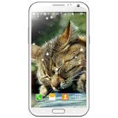 MusicPlayer Snow LiveWallpaper 1.51