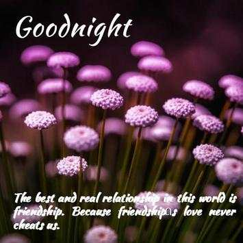 Beautiful Good Night Pictures screenshot 5
