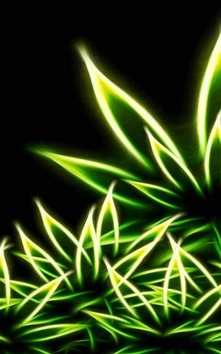 Rasta Weed Live Wallpaper screenshot 1
