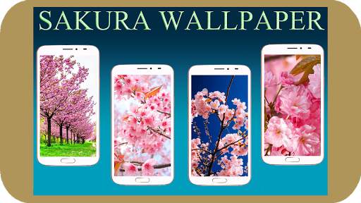 Sakura Wallpaper HD screenshot 1
