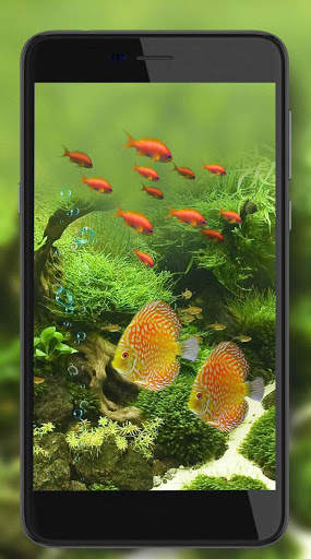 Fish Aquarium Live Wallpaper screenshot 3