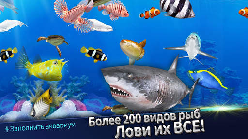 Fishing Rivals : Hook & Catch скриншот 5