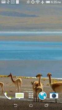 Lama Video Wallpaper screenshot 2