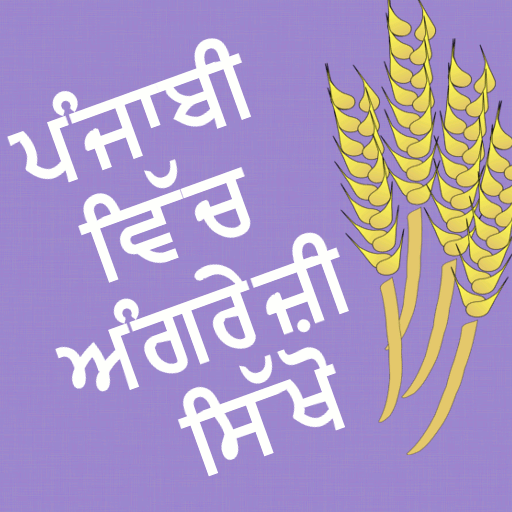 Learn English In Punjabi icon
