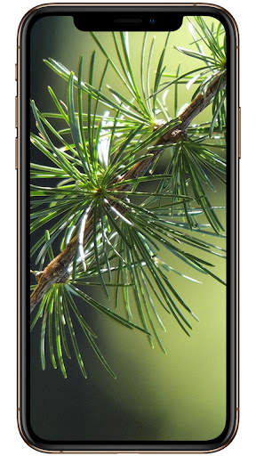 Theme for Huawei Enjoy 20 Pro screenshot 7
