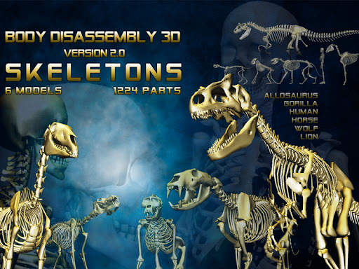 Body Disassembly 3D screenshot 10